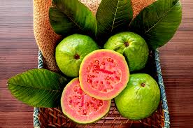 jambu biji 1
