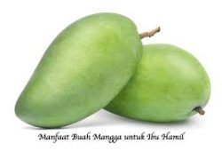mangga 1