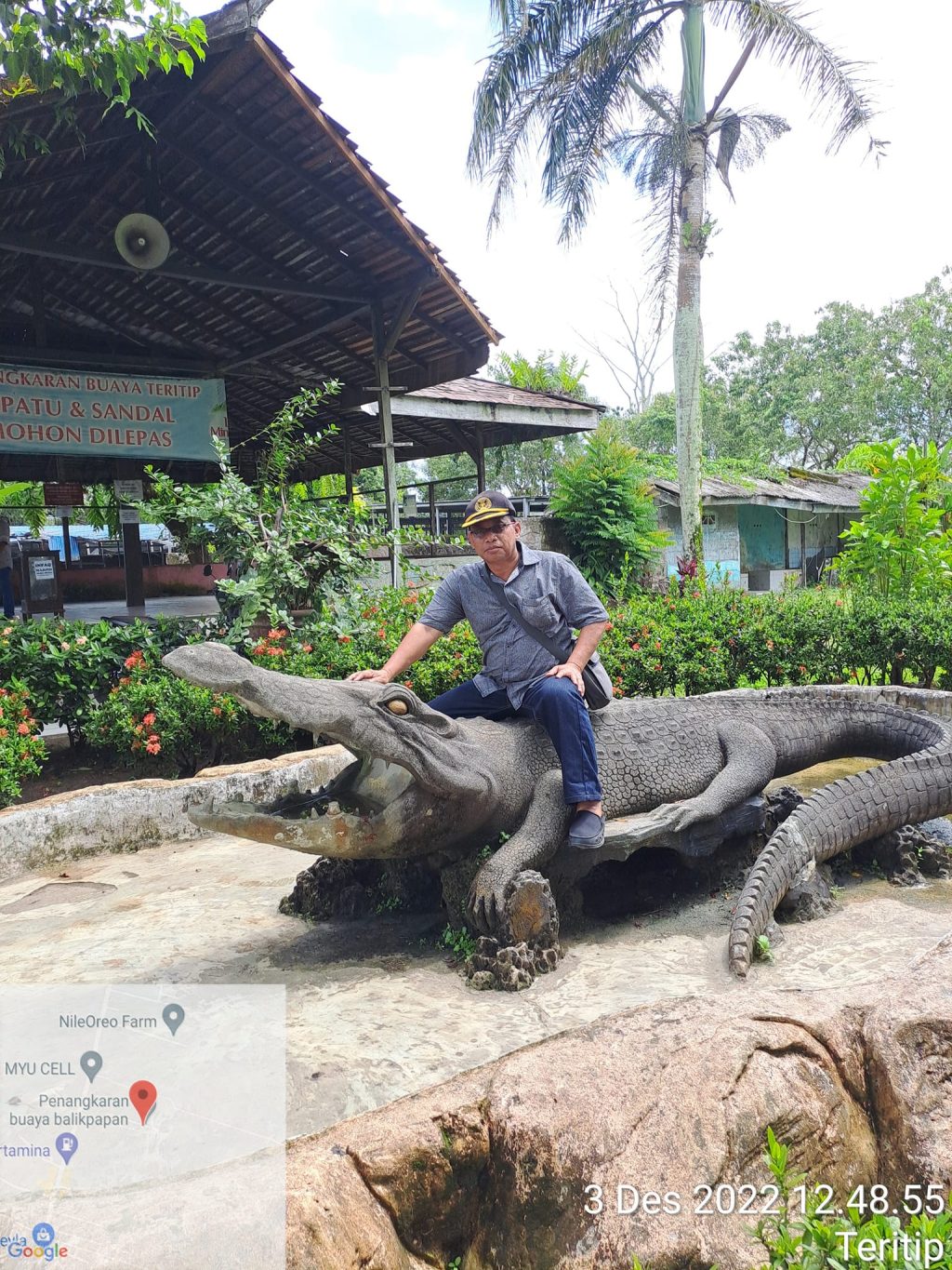buaya 3