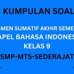 ASAS BHS IND 9