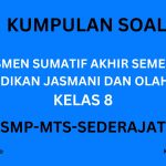 ASAS PJOK 8